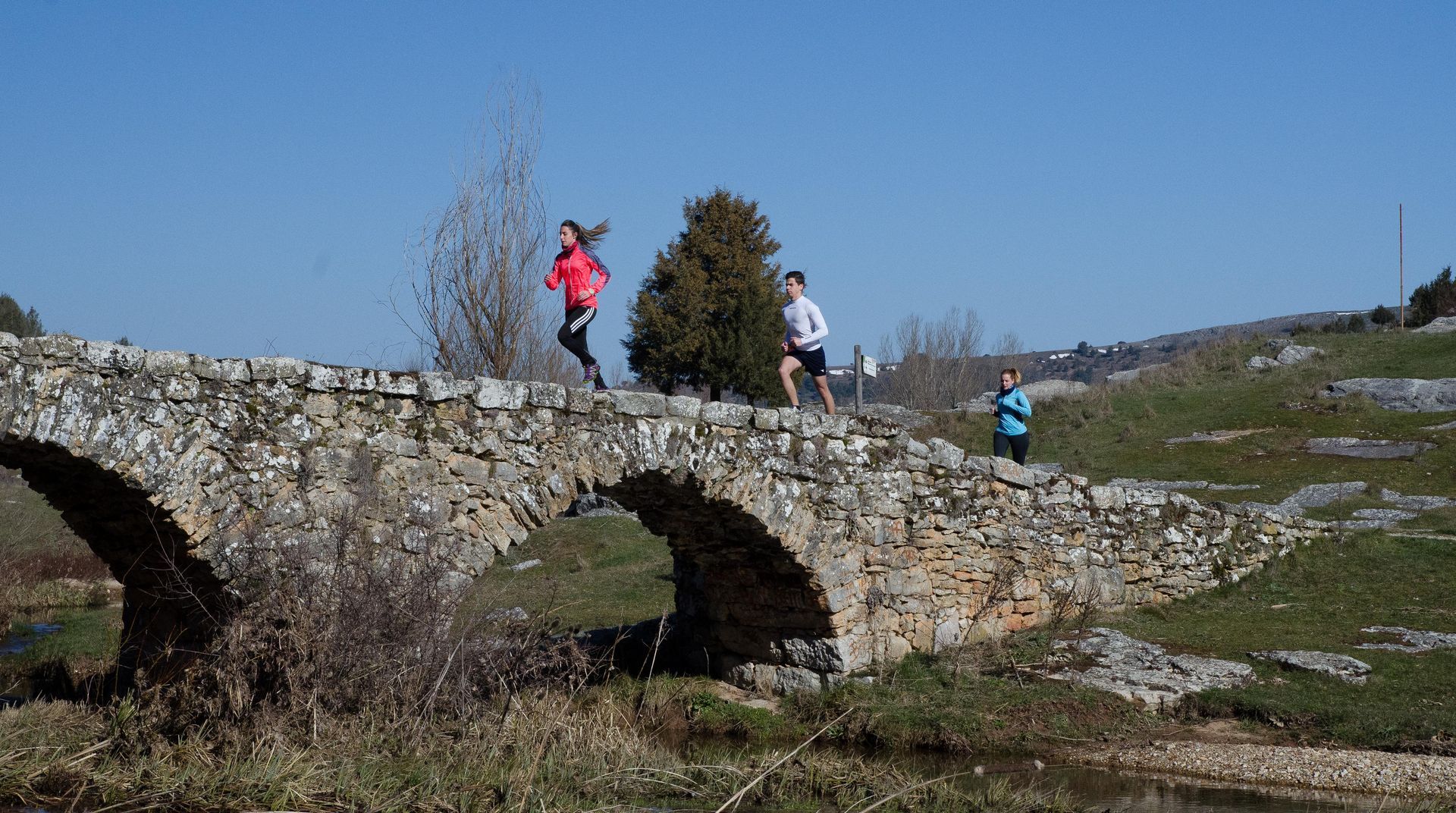 5ª Media Maratón