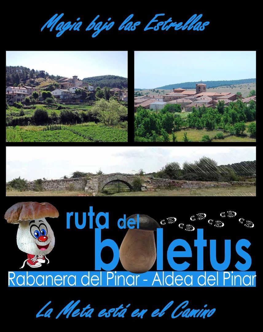 RUTA DEL BOLETUS