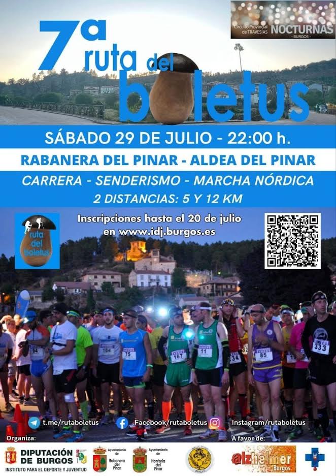 7ª RUTA DEL BOLETUS